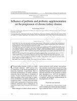 Influence of prebiotic and probiotic supplementation on the progression of chronic kidney disease